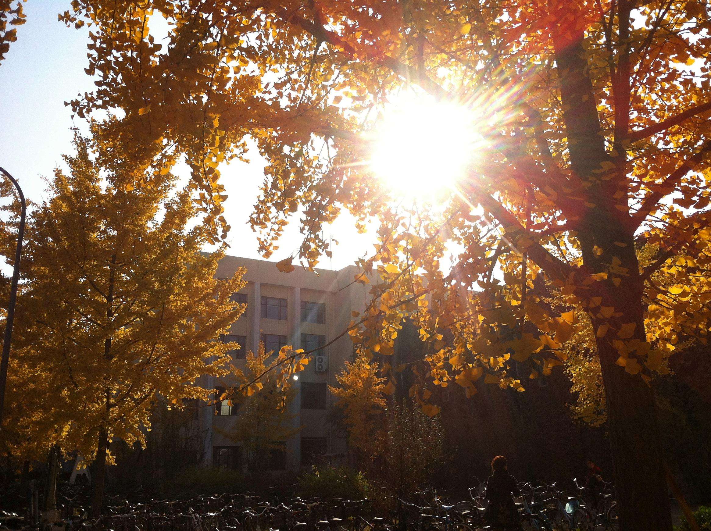 北京大学2018年硕士研究生招生复试基本分数线